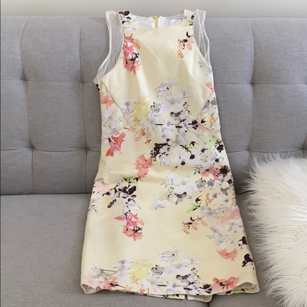 Club Monaco dress